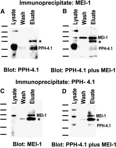 Figure 4.—