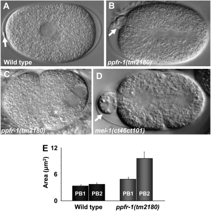 Figure 2.—