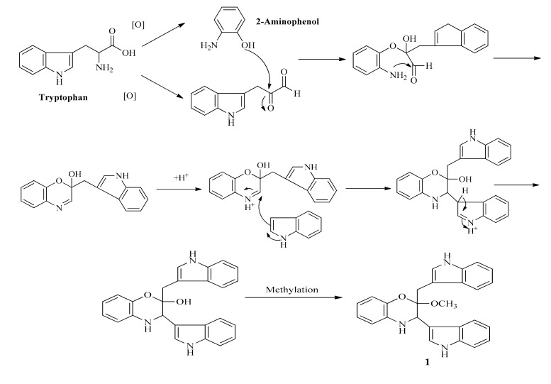 Scheme 2