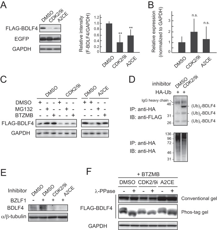 FIG 3