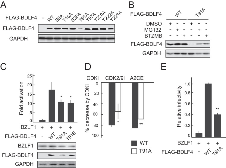 FIG 8