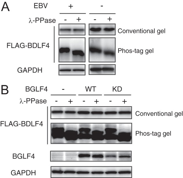 FIG 1