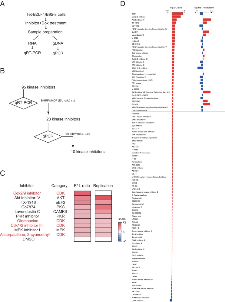 FIG 6