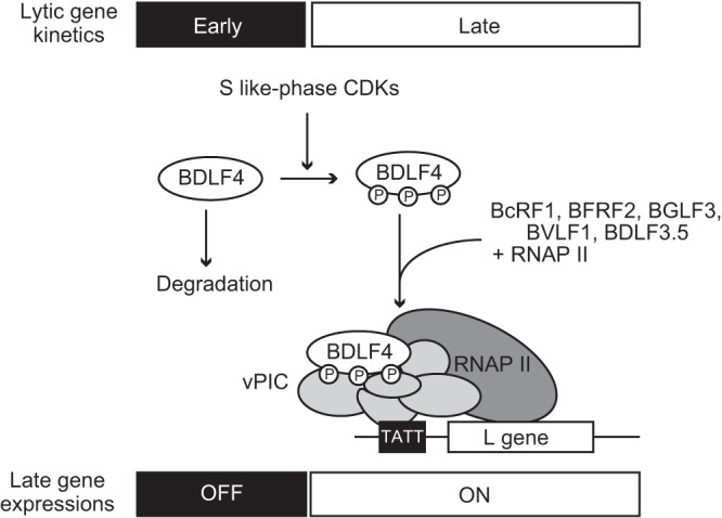 FIG 9