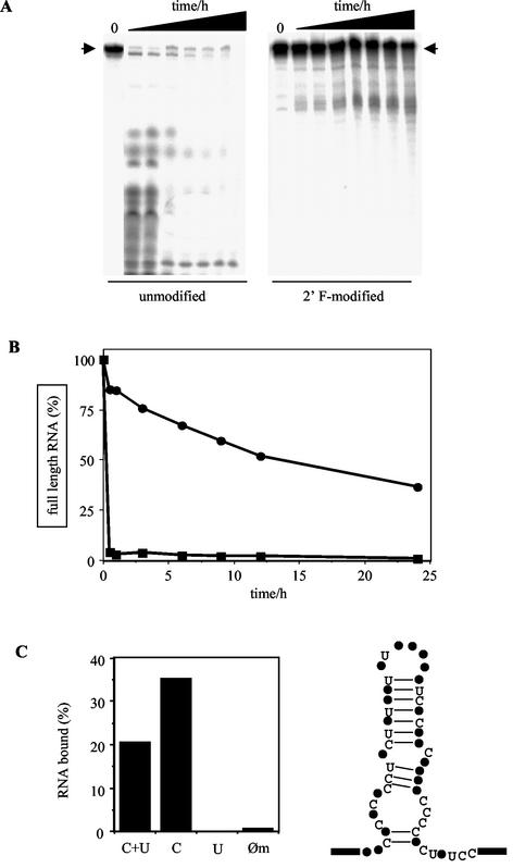 FIG. 5.