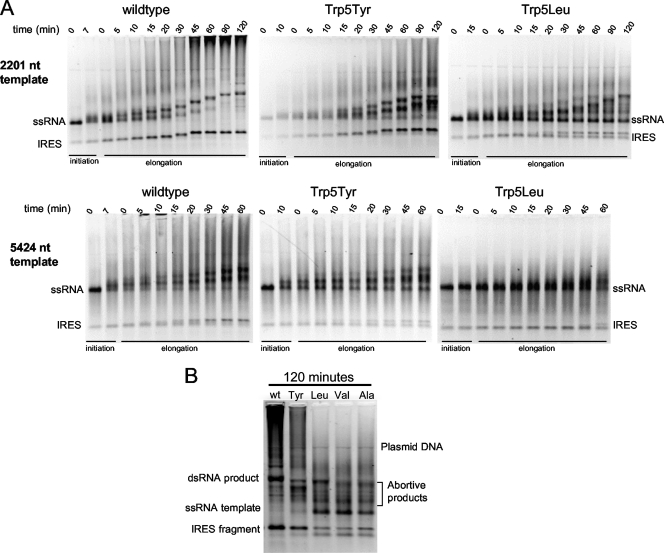 FIG. 4.