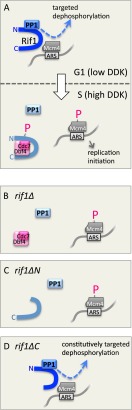 Figure 7.