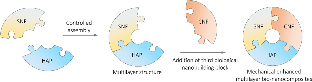 Scheme 1.