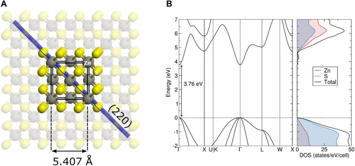 FIGURE 7