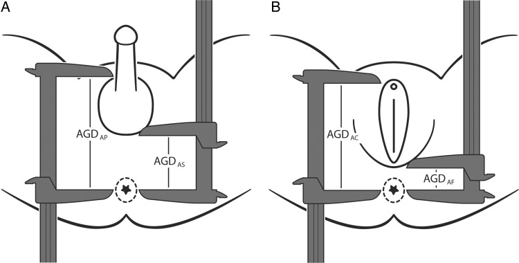 Figure 1