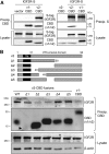 FIG 1