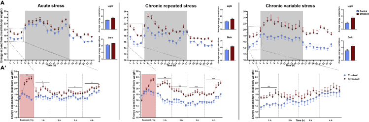 Figure 3