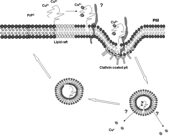 FIG. 7.