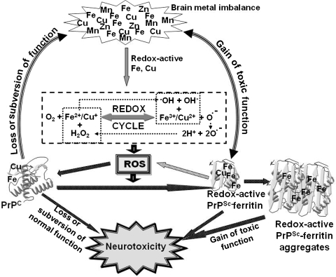 FIG. 12.