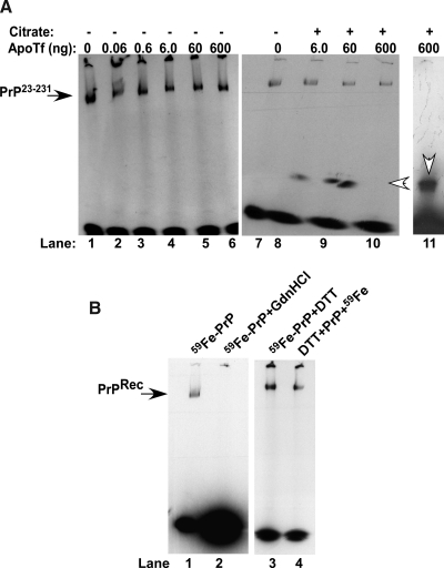 FIG. 10.