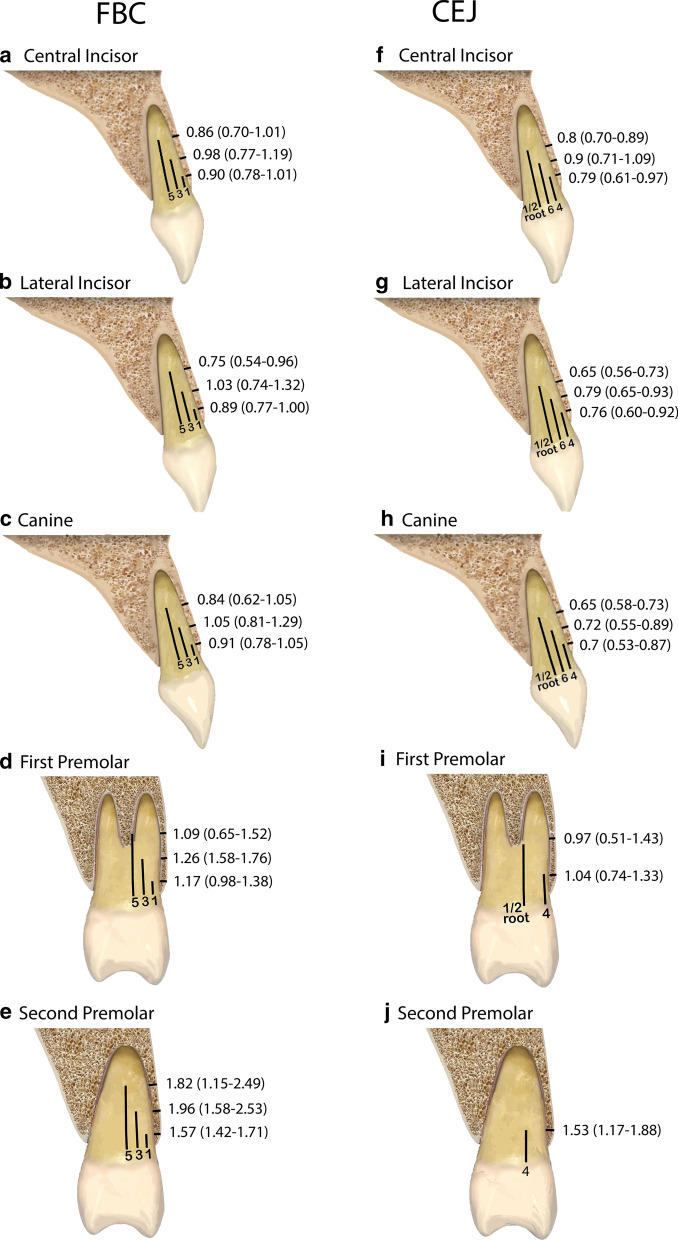 Fig. 4
