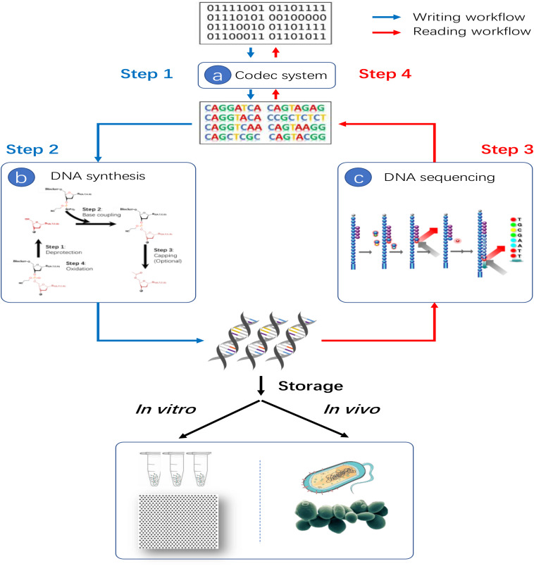 FIGURE 4