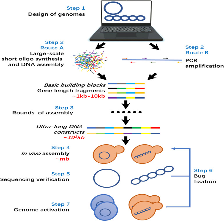 FIGURE 3