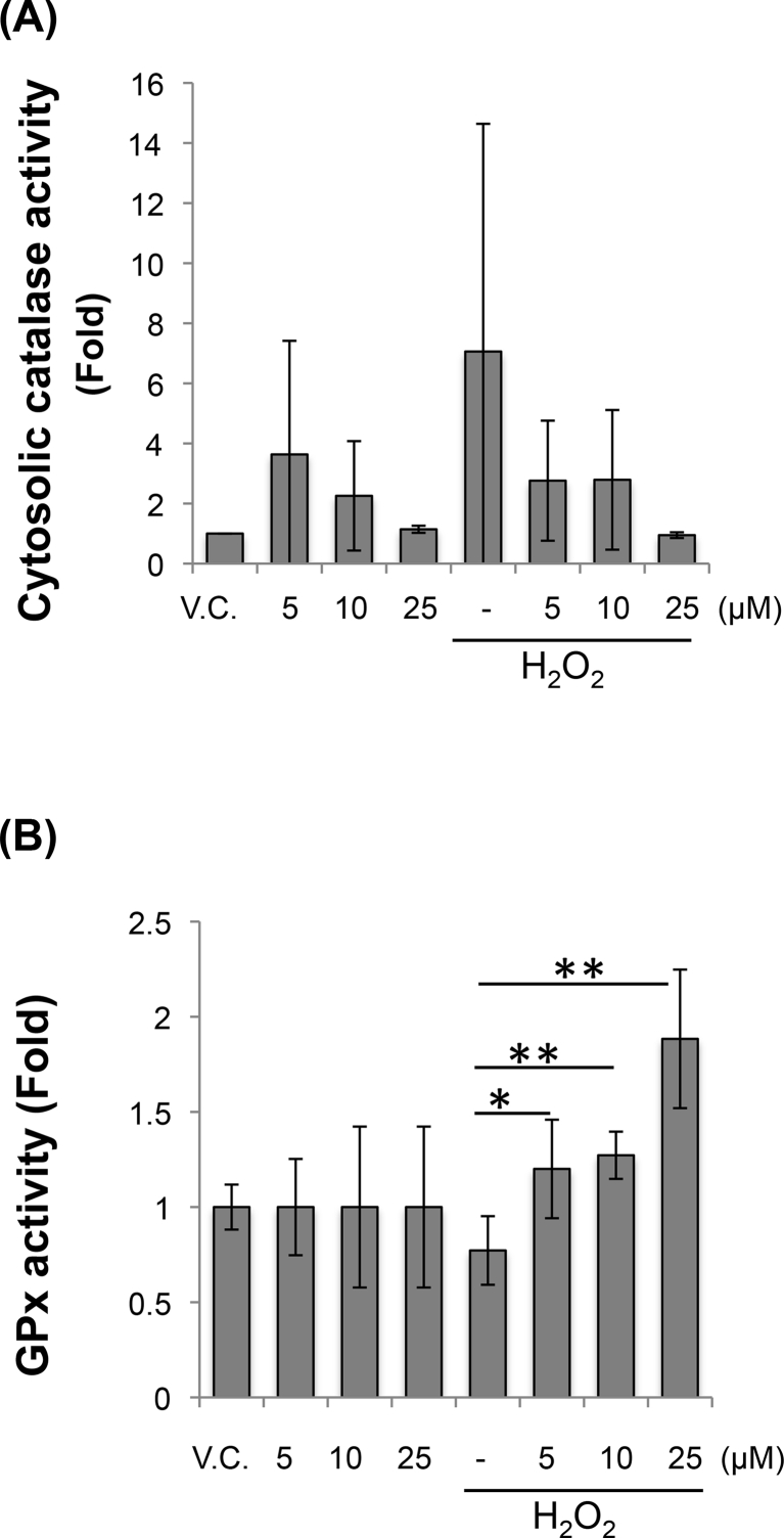 Fig. 4