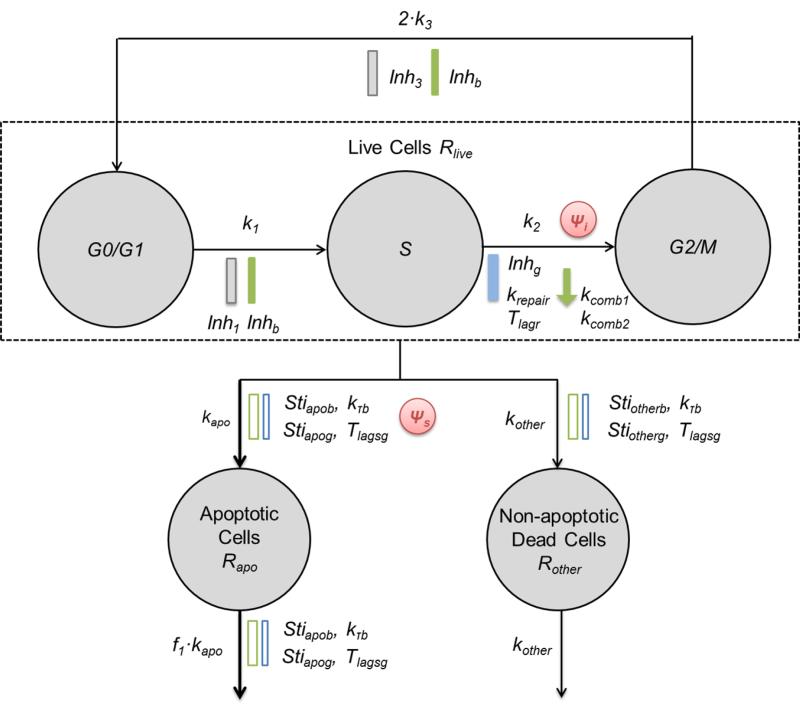 Fig.3