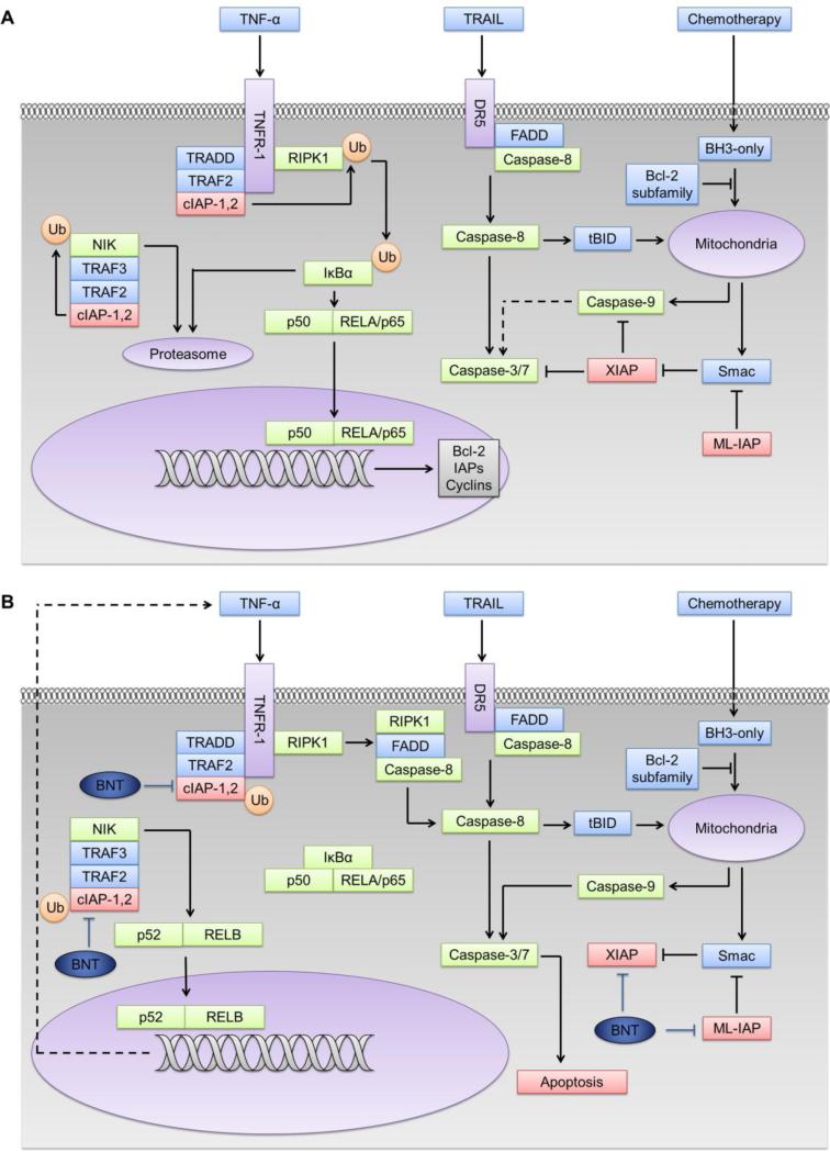 Fig.1