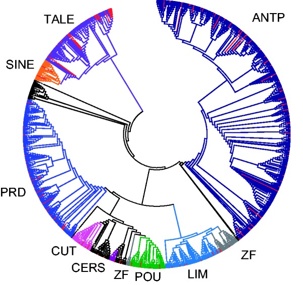 Fig. 1.—