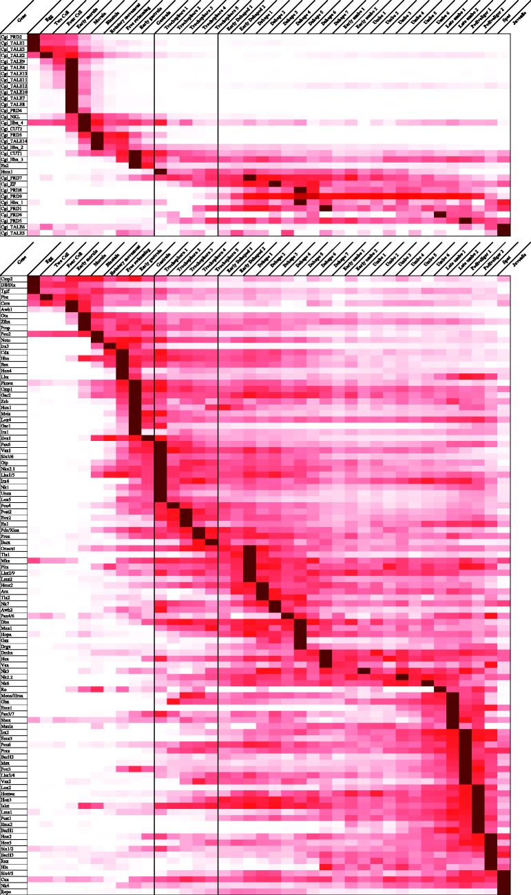 Fig. 3.—