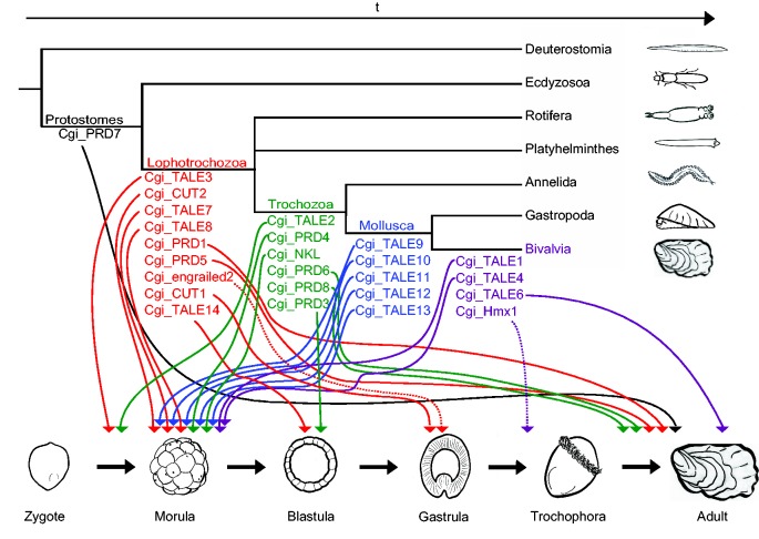 Fig. 4.—