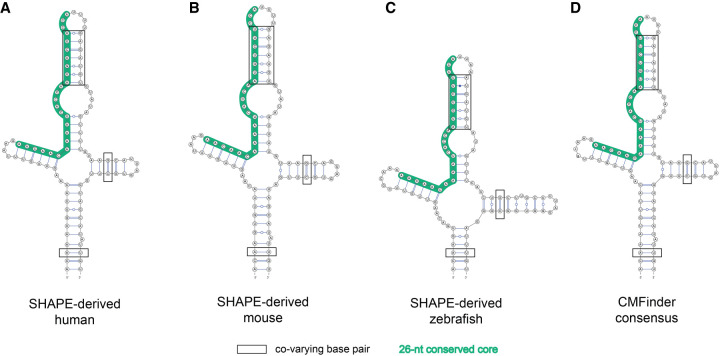 FIGURE 3.