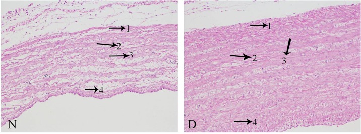 Fig 5