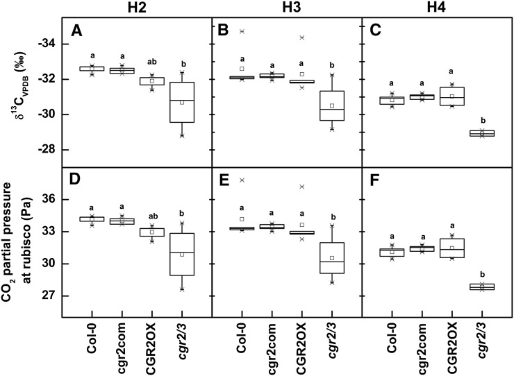 Figure 6.