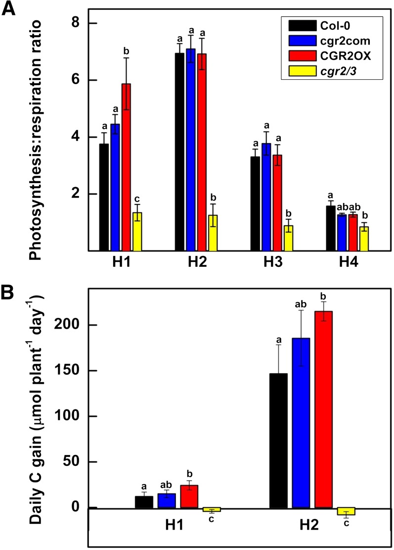 Figure 5.