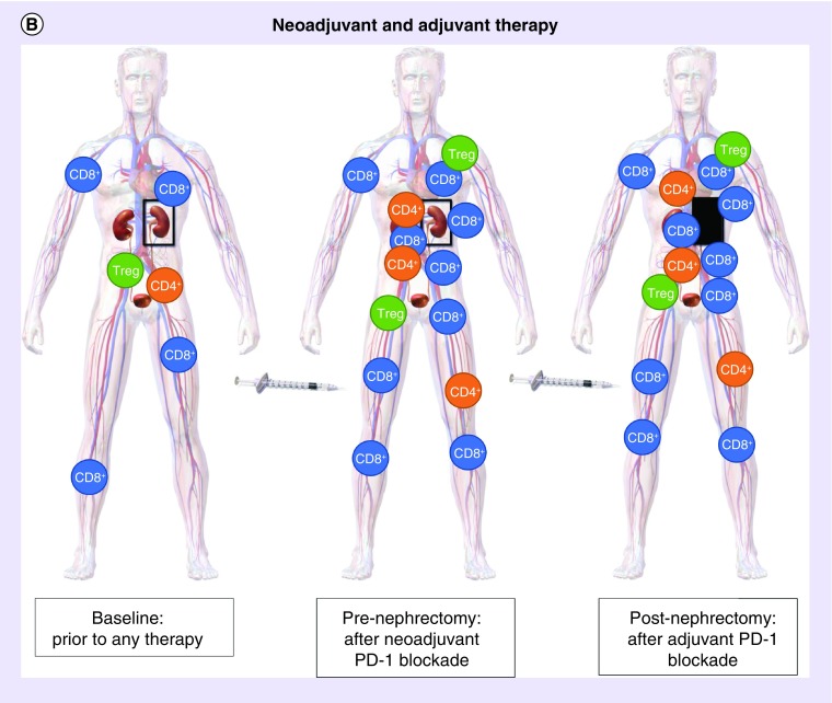 Figure 1. 