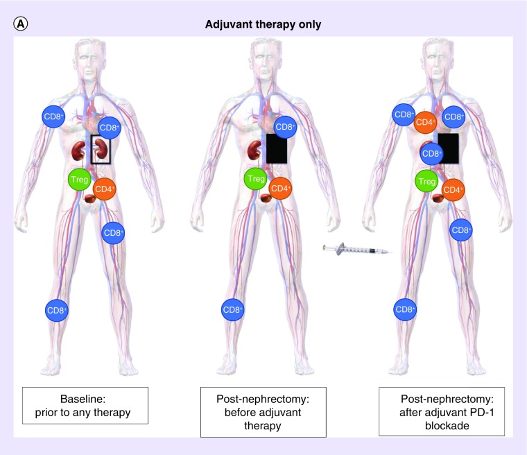 Figure 1. 