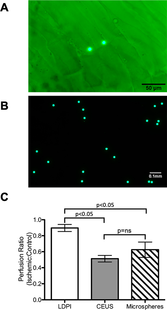 Fig 5.