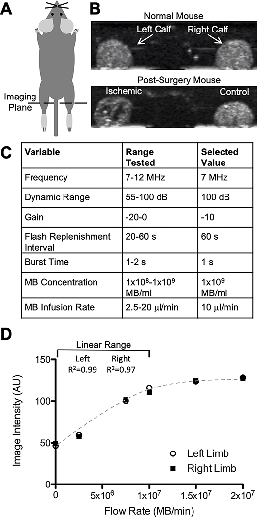 Fig 1.