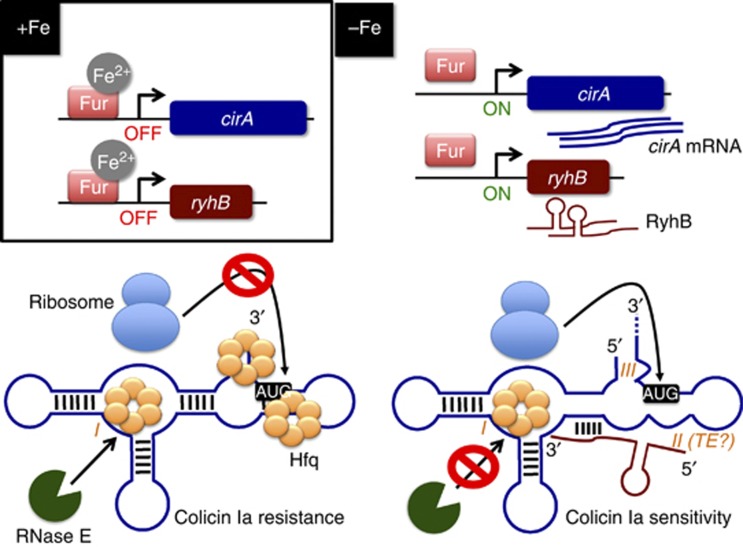 Figure 9