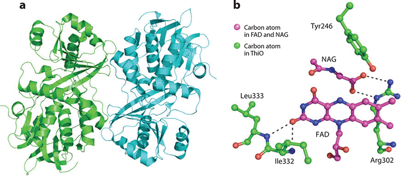 Figure 5