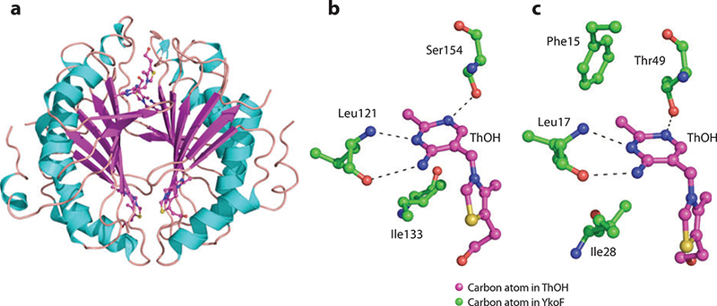 Figure 18