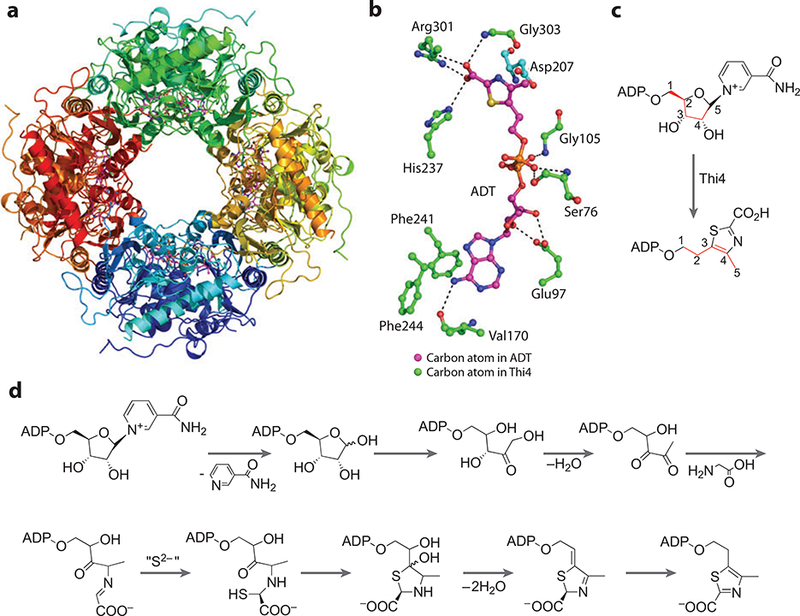 Figure 21