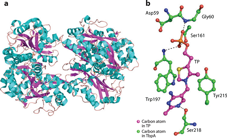 Figure 17