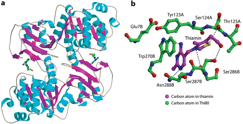 Figure 16