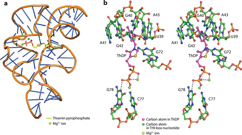 Figure 19