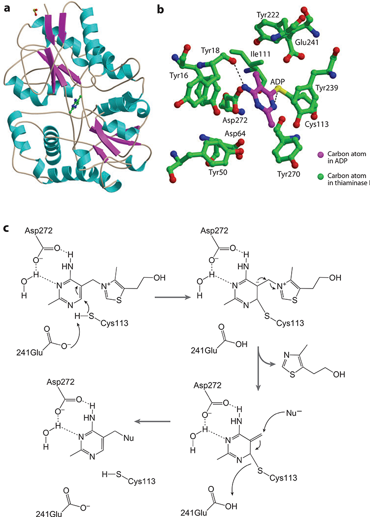 Figure 12