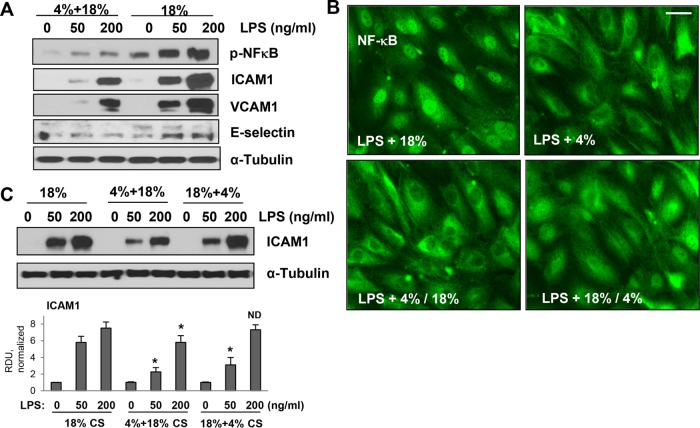 Figure 6: