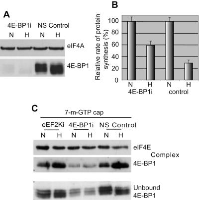 FIG. 5.