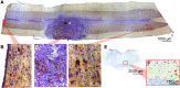 <b>FIG. 4.</b>