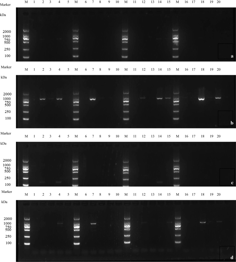 Fig. 3