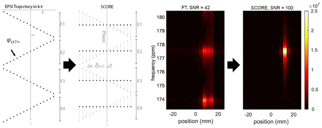 graphic file with name nihms-1641097-f0001.jpg