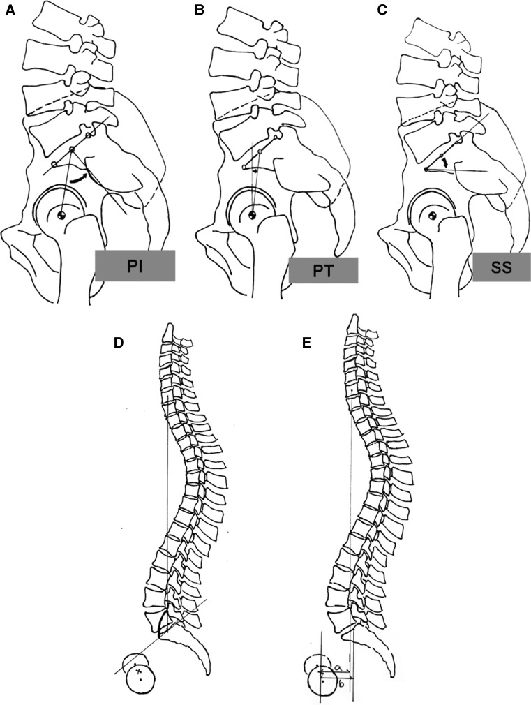 Fig. 3